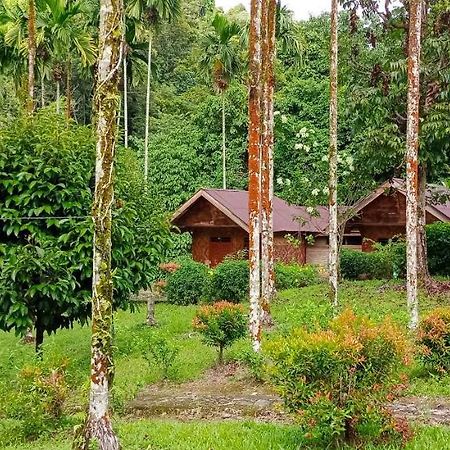 Green Lodge Tangkahan Esterno foto