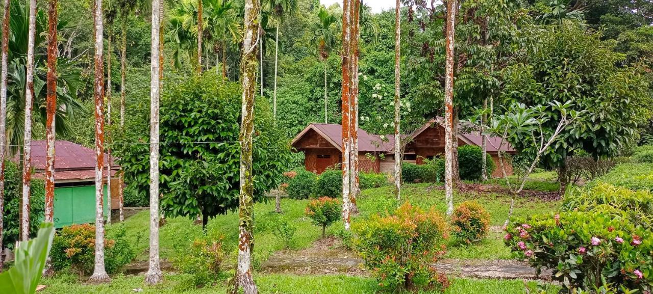 Green Lodge Tangkahan Esterno foto