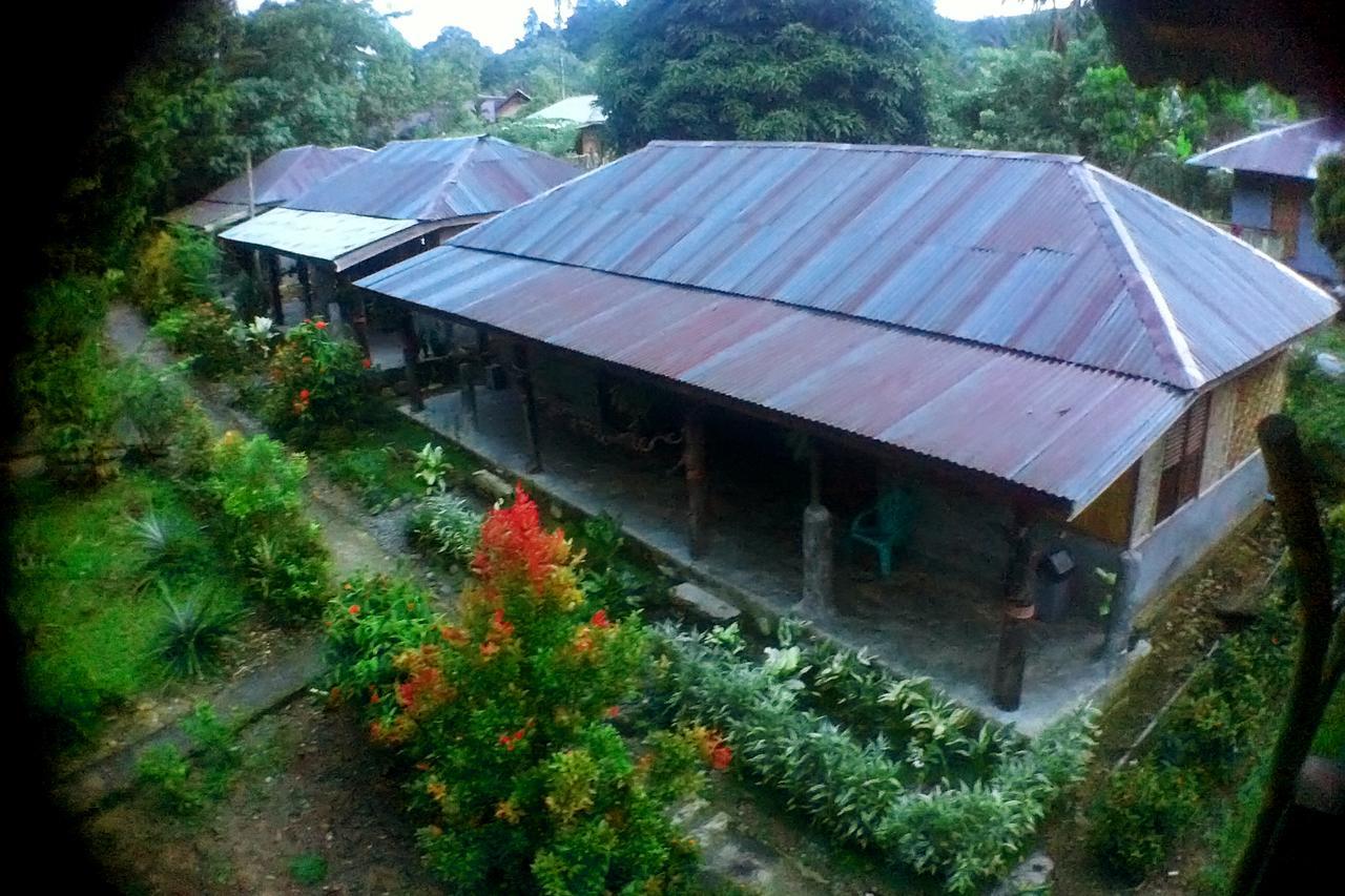 Green Lodge Tangkahan Esterno foto