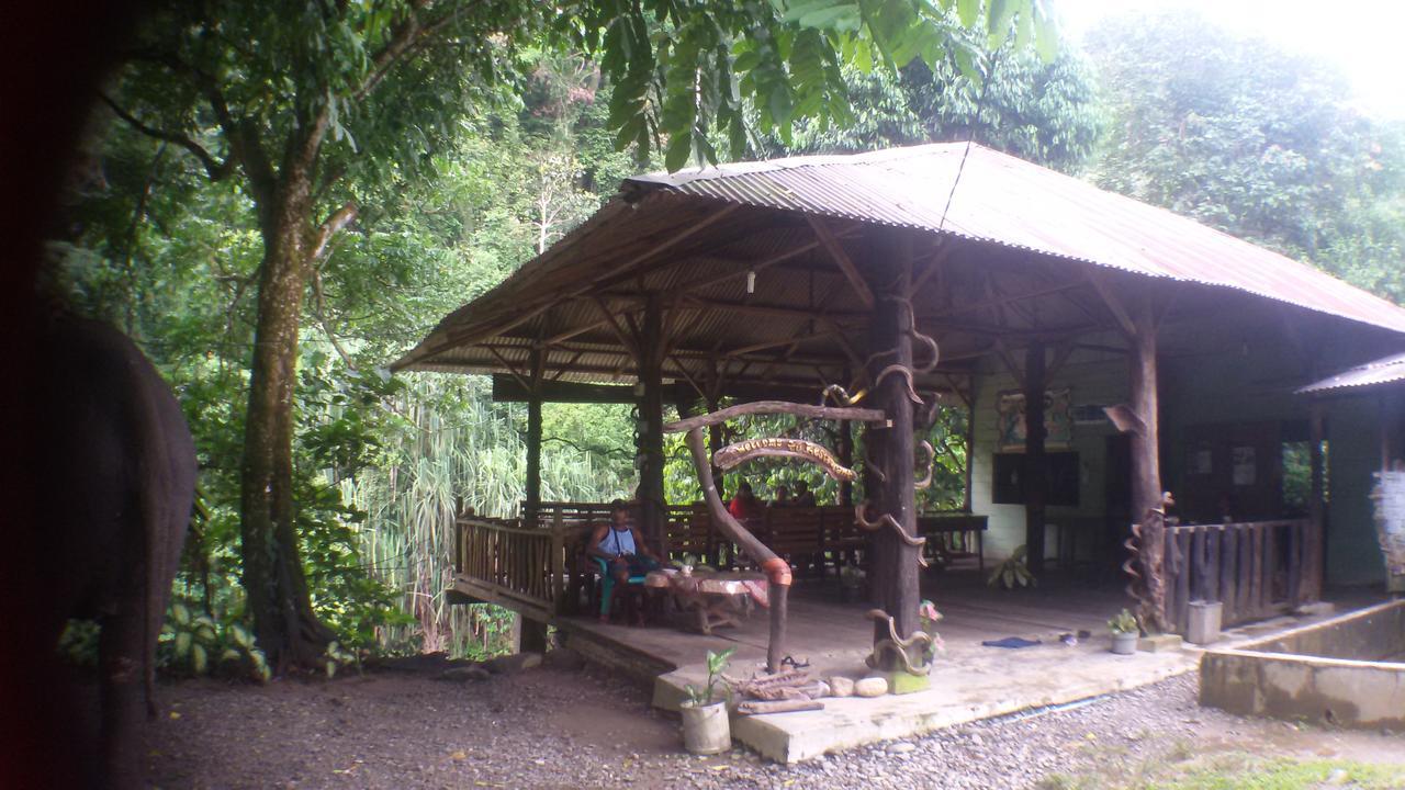 Green Lodge Tangkahan Esterno foto