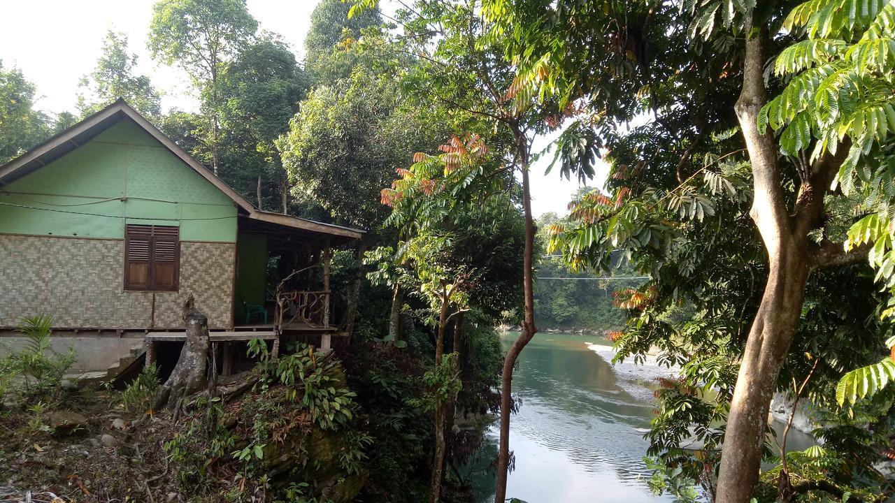 Green Lodge Tangkahan Esterno foto